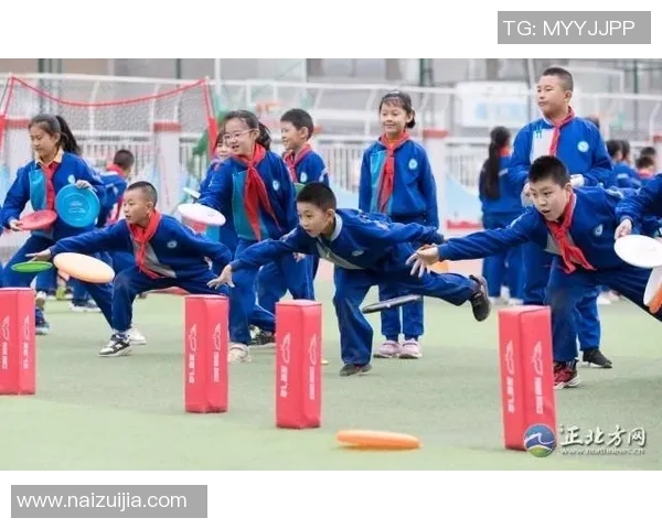 赵强独家分享飞盘技巧与心得体会助你轻松掌握这项运动的魅力与乐趣